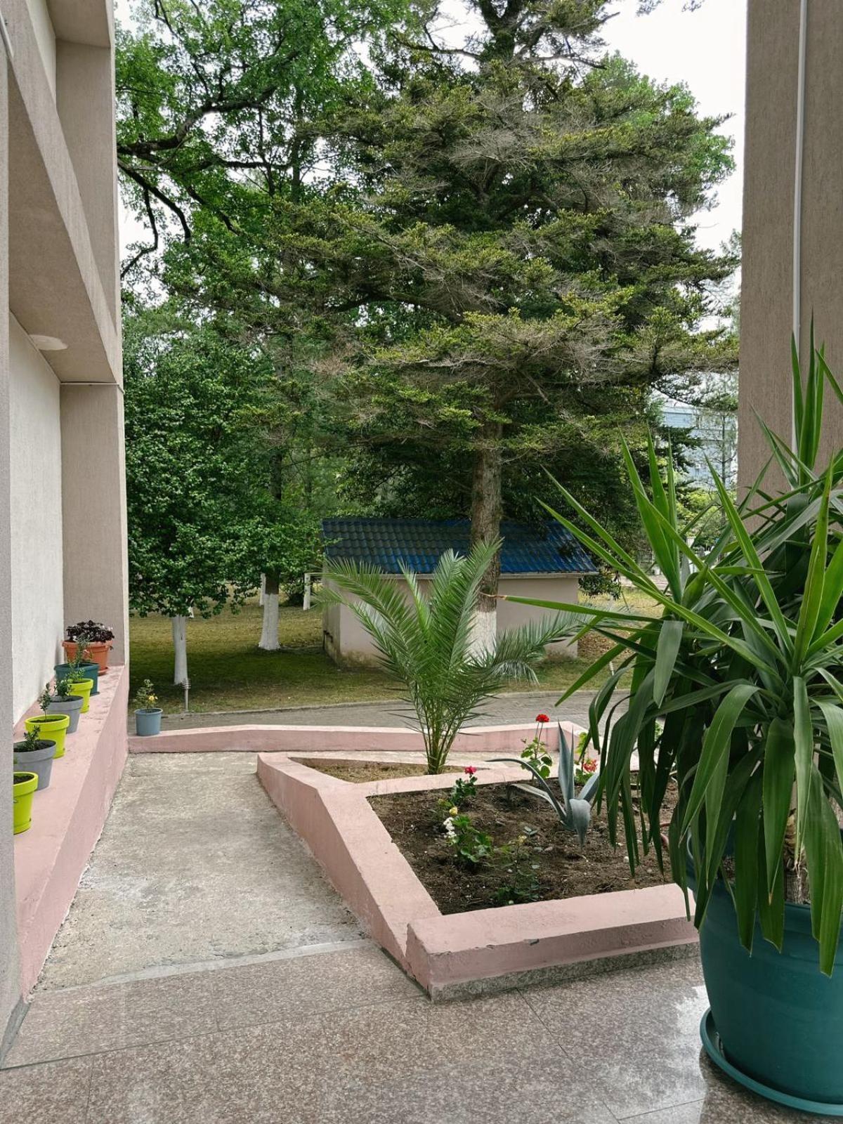 Hotel Solidarity Kobuleti Ngoại thất bức ảnh