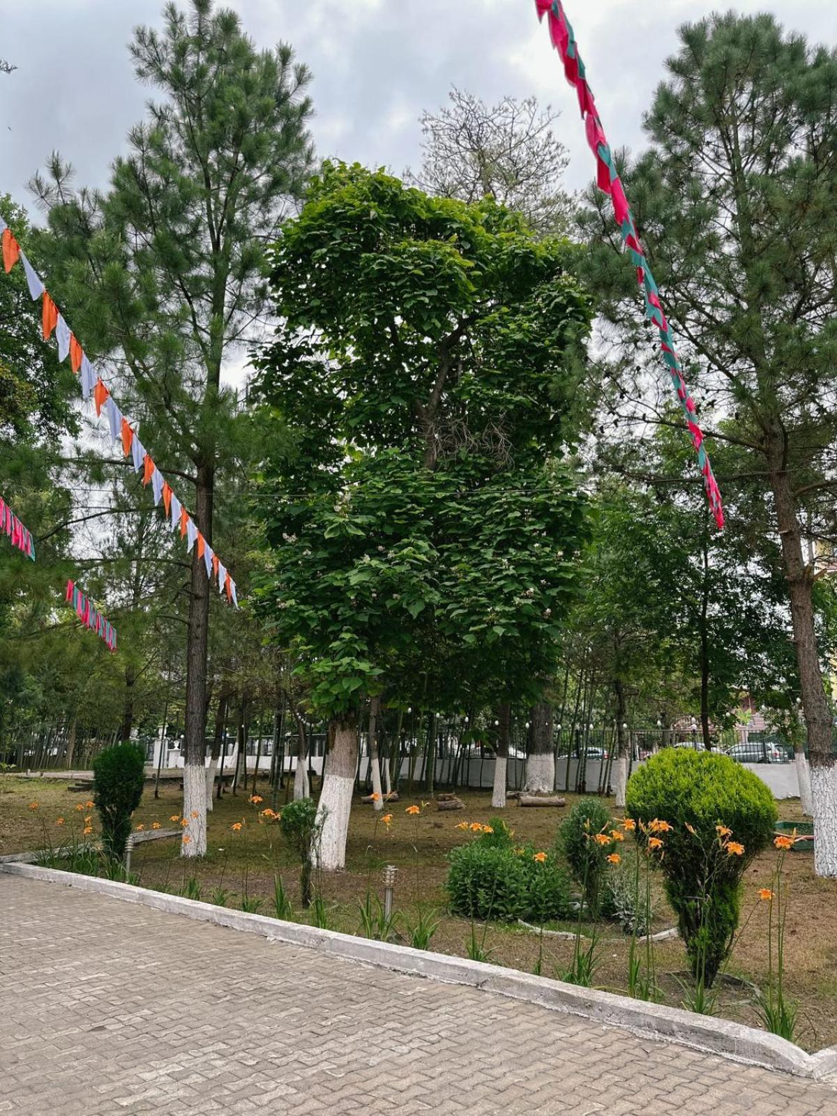 Hotel Solidarity Kobuleti Ngoại thất bức ảnh